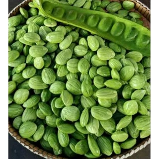ต้นสะตอตรัง1(ซื้อ 3แถม 1ถุง)ต้นเตี้ยผลดกกลิ่นฉุนน้อย