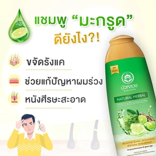 Bualuang Shampoo แชมพู บัวหลวง สูตรขจัดรังแค และ สูตรรักษาสีผม 450 ml. พร้อมส่ง