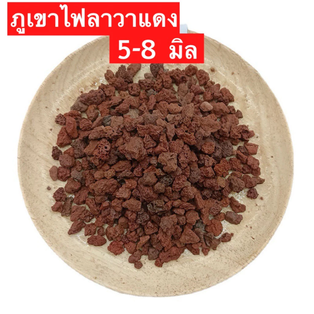 หินภูเขาไฟลาวา หินลาวาดำ โปร หินลาวาแดง (Lava Stone) | ผสมดินปลูก โรยหน้ากระถาง ใส่บ่อปลา thumbnail 5
