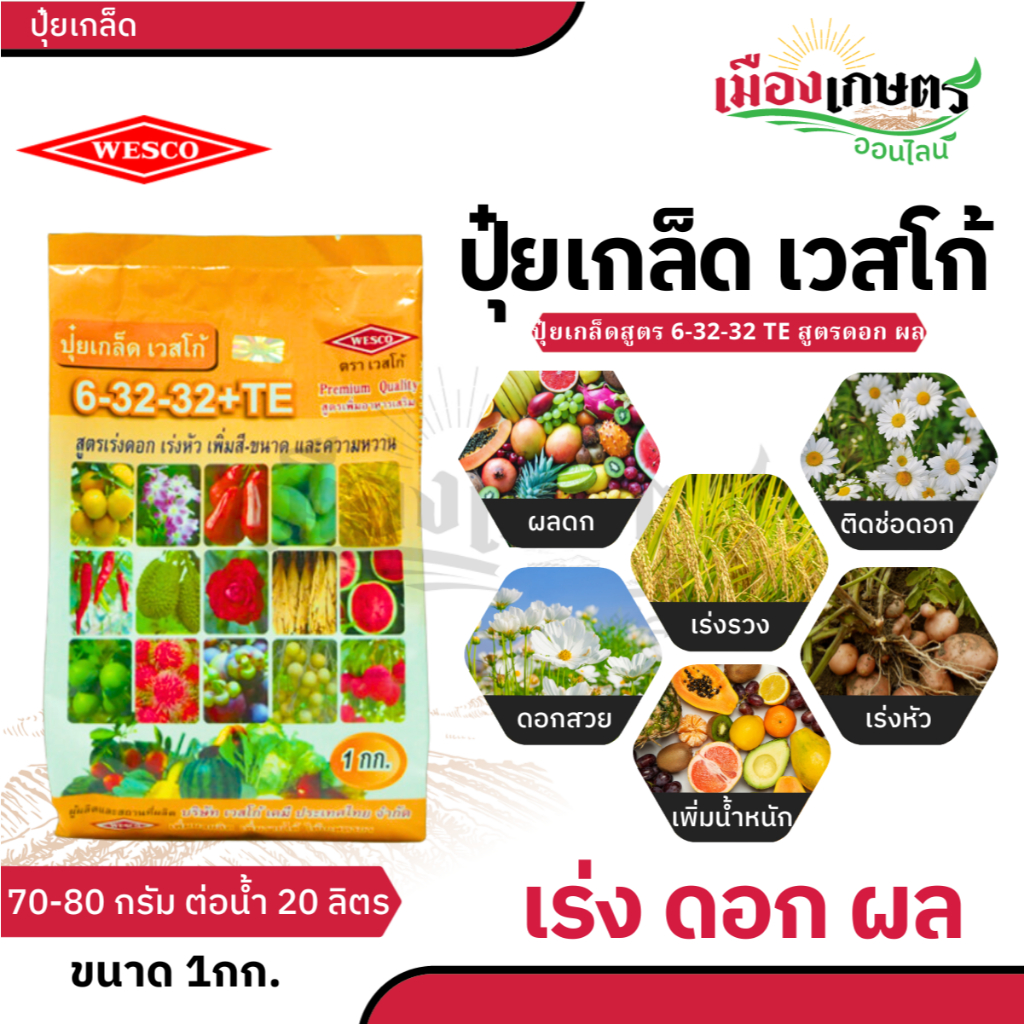 ปุ๋ย ปุ๋ยเกล็ด เวสโก้ ปุ๋ย เกล็ด 6 32 32 20 20 20 21 21 21 20 10 30 TE ขนาด 1 กิโลกรัม ฮอร์โมนพืช เสริมการเจริญเติบโต - รูปที่ 4