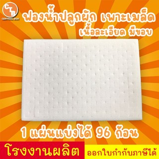 ฟองน้ำปลูกผัก  เพาะเมล็ด สำหรับใช้ปลูกผักไฮโดรโปนิกส์ ฟองน้ำปลูกผัก ( 1 แผ่น 96 ก้อน )