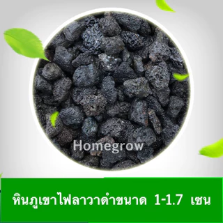 หินภูเขาไฟลาวา หินลาวาดำ หินลาวาแดง (Lava Stone) | ผสมดินปลูก โรยหน้ากระถาง ใส่บ่อปลา