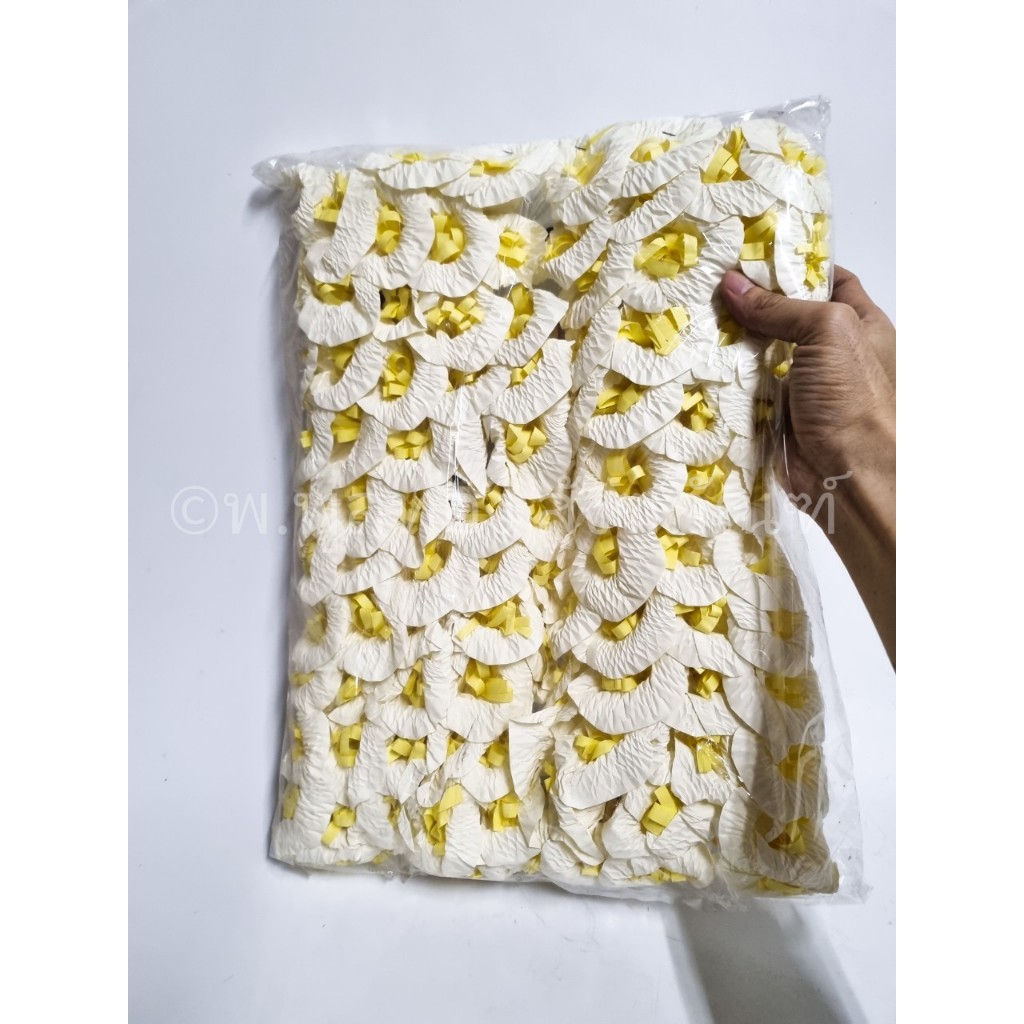 <100 ดอก> ดอกไม้จันทร์ สีขาว งานศพ งานปราณีต