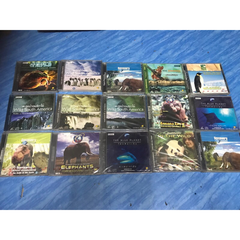 VCD,วีซีดีสารคดีกล่อง (2) สัตว์โลก หลากหลายเรื่องราว ,แผ่นแท้ มาสเตอร์ มือ 1
