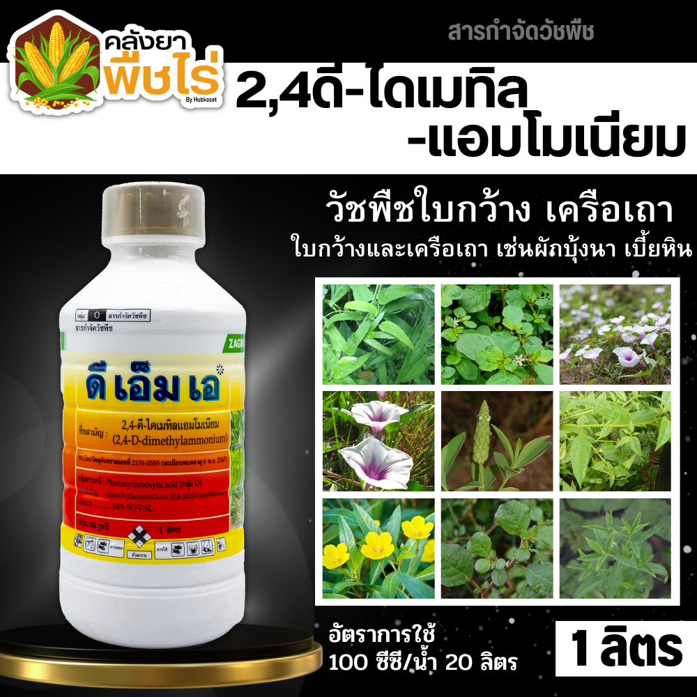 🌽 ดีเอ็มเอ (2,4-ดี-ไดเมทิลแอมโมเนียม) 1ลิตร ใช้หลังวัชพืชงอก ใบกว้างและกก
