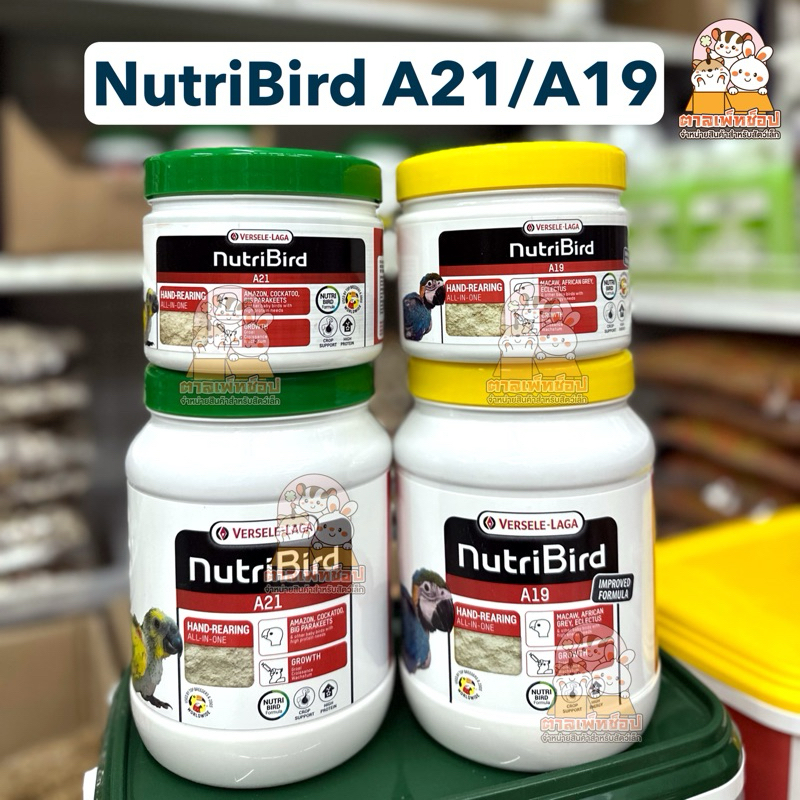 พร้อมส่ง อาหารลูกป้อน Nutri Bird A21 / A19 สูตรลูกป้อน สำหรับลูกนกทุกสายพันธุ์