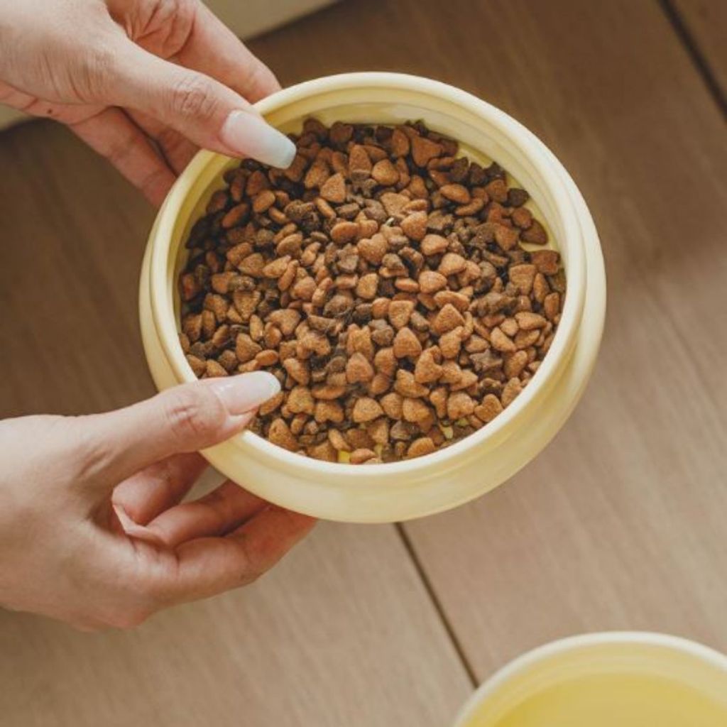 ชามเซรามิคย่น Minimal ชามหมา จานอาหารแมว Bowl เซรามิก รูปที่ 2