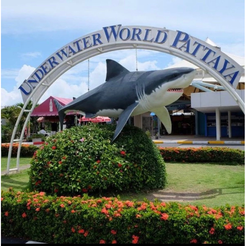 บัตร Underwater World Pattaya อันเดอร์วอเตอร์เวิลด์ พัทยา