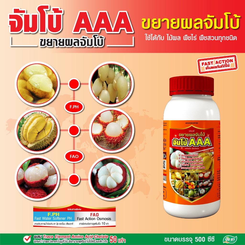 ขยายผลใหญ่ บำรุงผล ก่อนเก็บ 15-30 วัน เพิ่มหวาน เร่งเข้าสี จัมโบ้ AAA ปุ๋ยยา 500 ซีซี