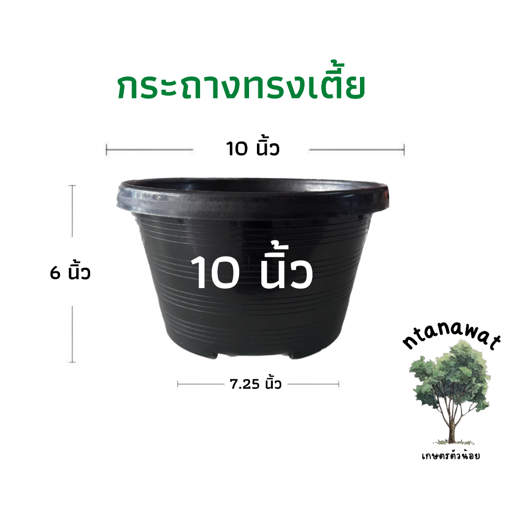 กระถางทรงเตี้ย 10 นิ้ว กระถางกลม เพาะเมล็ด กระถางค่อม สีดำเงา