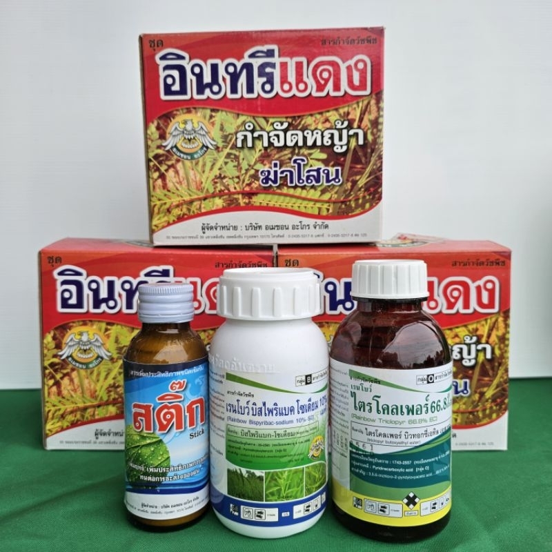 อินทรีย์แดง ฆ่าโสน ยาฆ่าหญ้าในนาข้าว 🌾 กำจัดหญ้าทุกชนิด ข้าวไม่แดง กลิ่นไม่เหม็น 👍 1 ชุดใช้ได้ 3-4 ไร่ ตราอะเมซอล