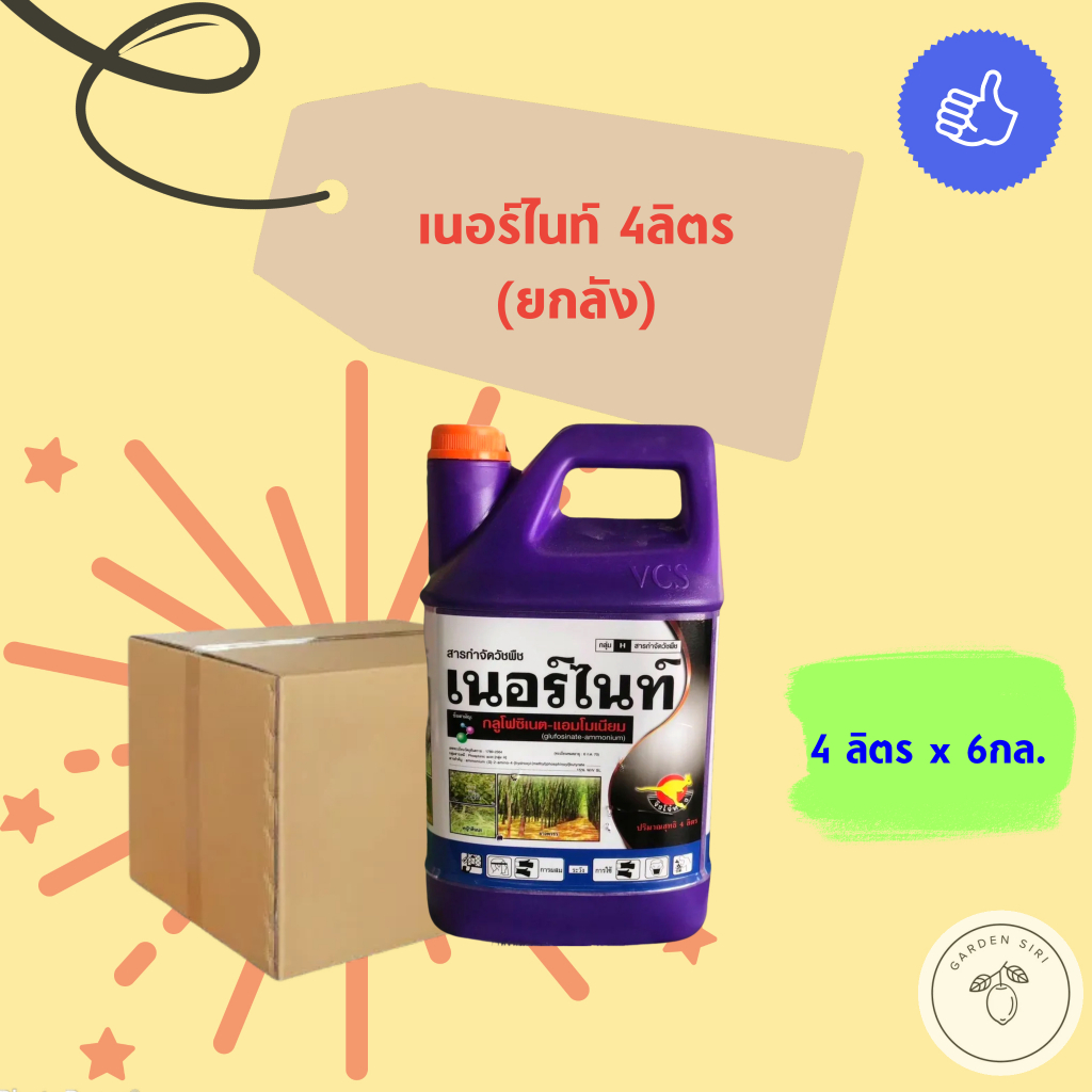 เนอร์ไนท์ ขนาด 4ลิตร (ยกลัง) (กลูโฟซิเนตแอมโมเนียม 15%) ตราจิงโจ้ทอง