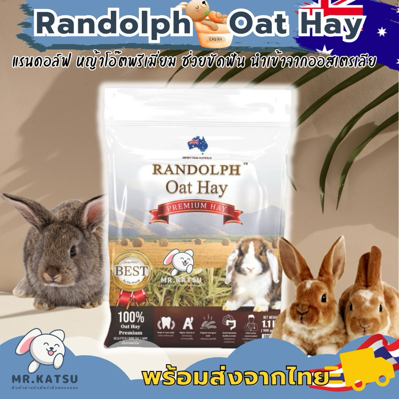 Randolph Oat Hay แรนดอล์ฟ หญ้าโอ๊ตอย่างดี นำเข้าจากออสเตรเลีย ขนาด 500 กรัม