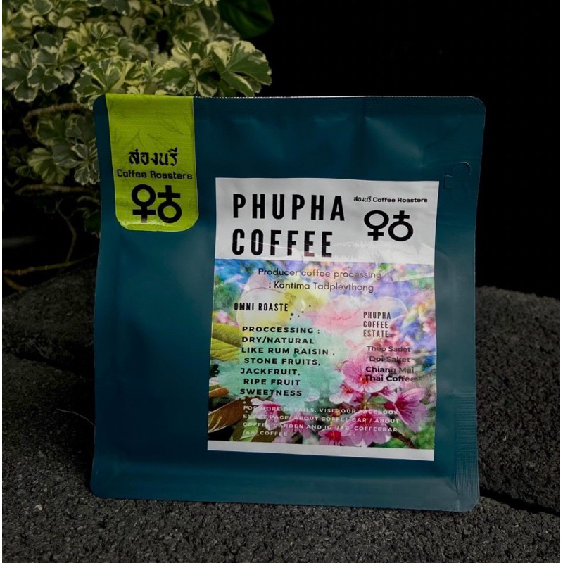 PHUPHA Natural คั่ว Omni ชงdrip ชงespresso ได้