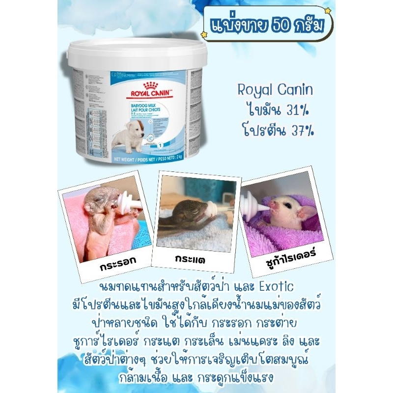 Royal Canin Baby dog Milk 50g. ** ขนาดทดลอง **