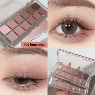 (สินค้าส่งจากไทย) อายแชโดว FAMOTY พาเลทตา เนื้อแมท ประกายชิมเมอร์ Eyeshadow Palette ตลับยาว 12สี สีสวยติดทน