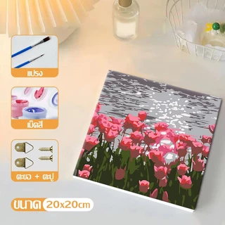 ส่งมอบทันที 20X20ซม ภาพระบายสีตามตัวเลข ขึงเฟรมไม้พร้อมอุปกรณ์ ขนาด ฝึกสมาธิ ของขวัญ DIY ภาพวาดสีน้ำมันดิจิตอลใส่กรอบ