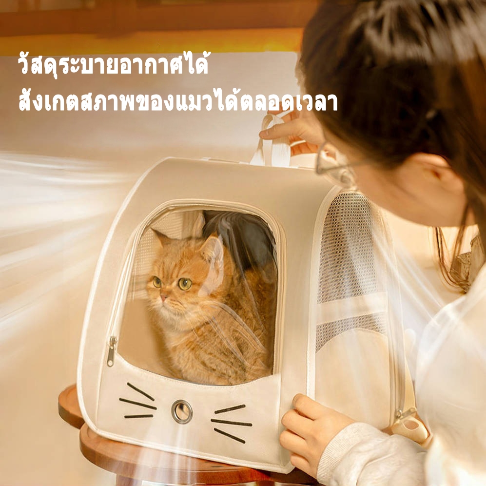 รูปภาพ 4