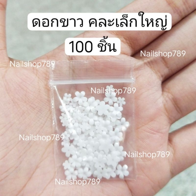 ดอกไม้สีขาว 20/100ชิ้น ดอกไม้ติดเล็บ ดอกไม้ ดอกไม้ตกแต่งเล็บ