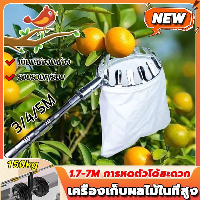 Fruit picking pole ตะกร้อสอยผลไมั เครื่องเก็บผลไม้ในที่สูง 3M 4M 5M ที่สอยมังคุด ตระกร้อสอยผลไม้ ไม้ สอยผลไม้ มืออาชีพ ไ