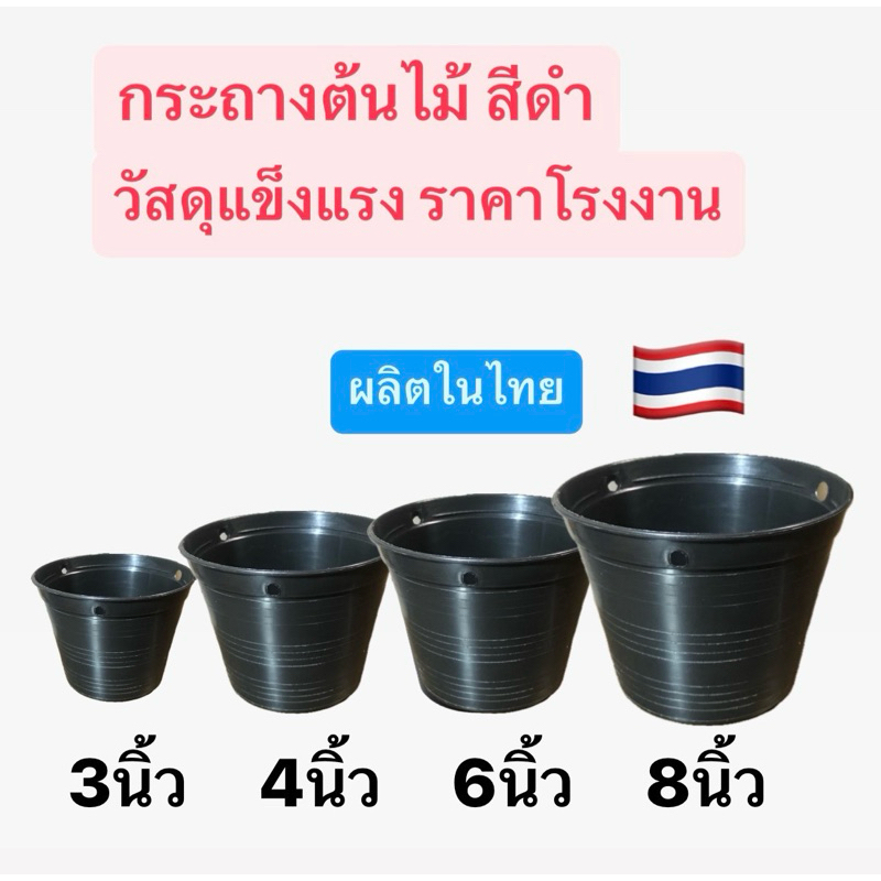 กระถางต้นไม้ขนาด 3” 4” 6” 8”