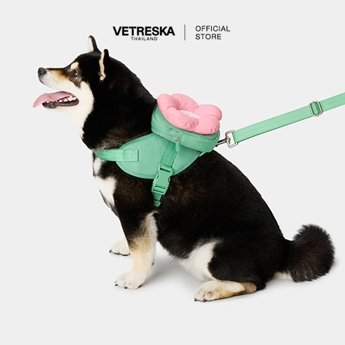[สินค้าขายดี][พร้อมส่ง] VETRESKA ปลอกคอแมว สุนัข สัตว์เลี้ยง Flora Pet Backpack & Harness 3 in 1 Set