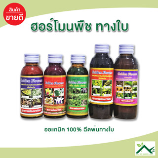 Golden flower ปุ๋ยน้ำโกลเด้น ป้องกันเชื้อรา เร่งราก เร่งดอก …