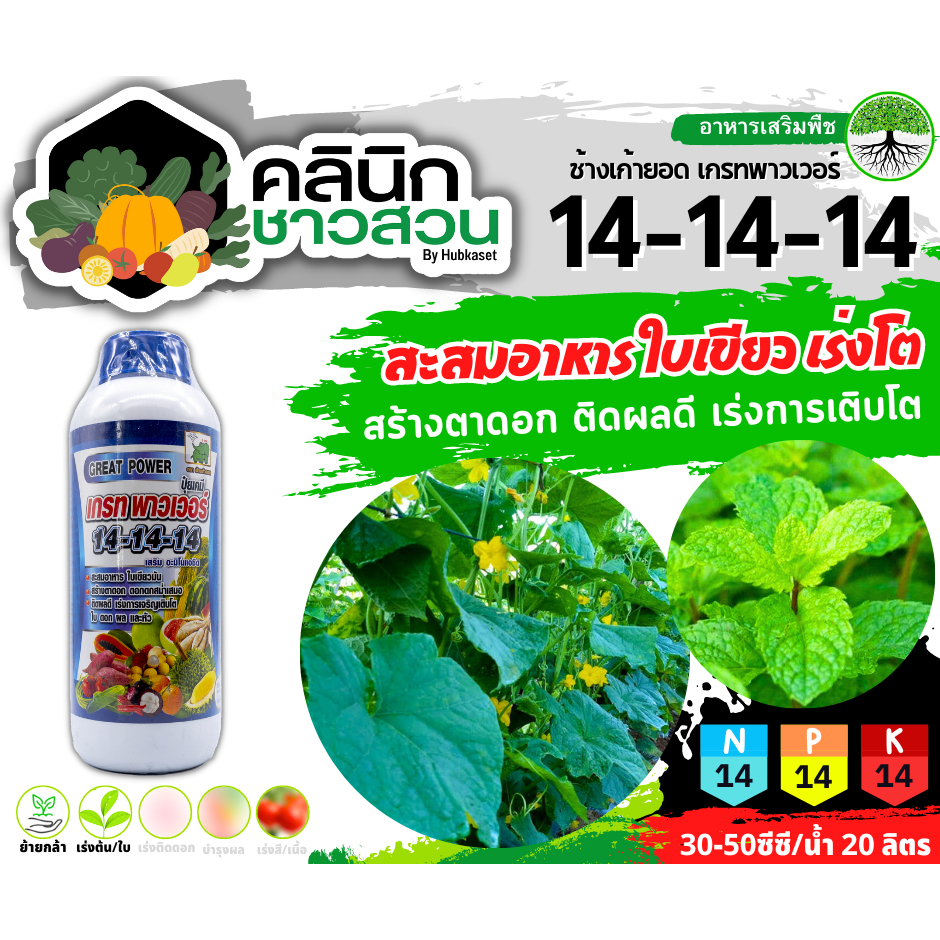 🚜 (ส่งฟรี) บรรจุ 🥬 เกรทพาวเวอร์ ช้างเก้ายอด (14-14-14) บรรจุ 1ลิตร สะสมอาหาร ใบเขียวมัน