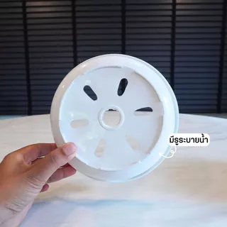 กระถางต้นไม้ กลมสี เบอร์8 แบบแขวน กระถางคุณนายตื่นสาย ขายปลีก