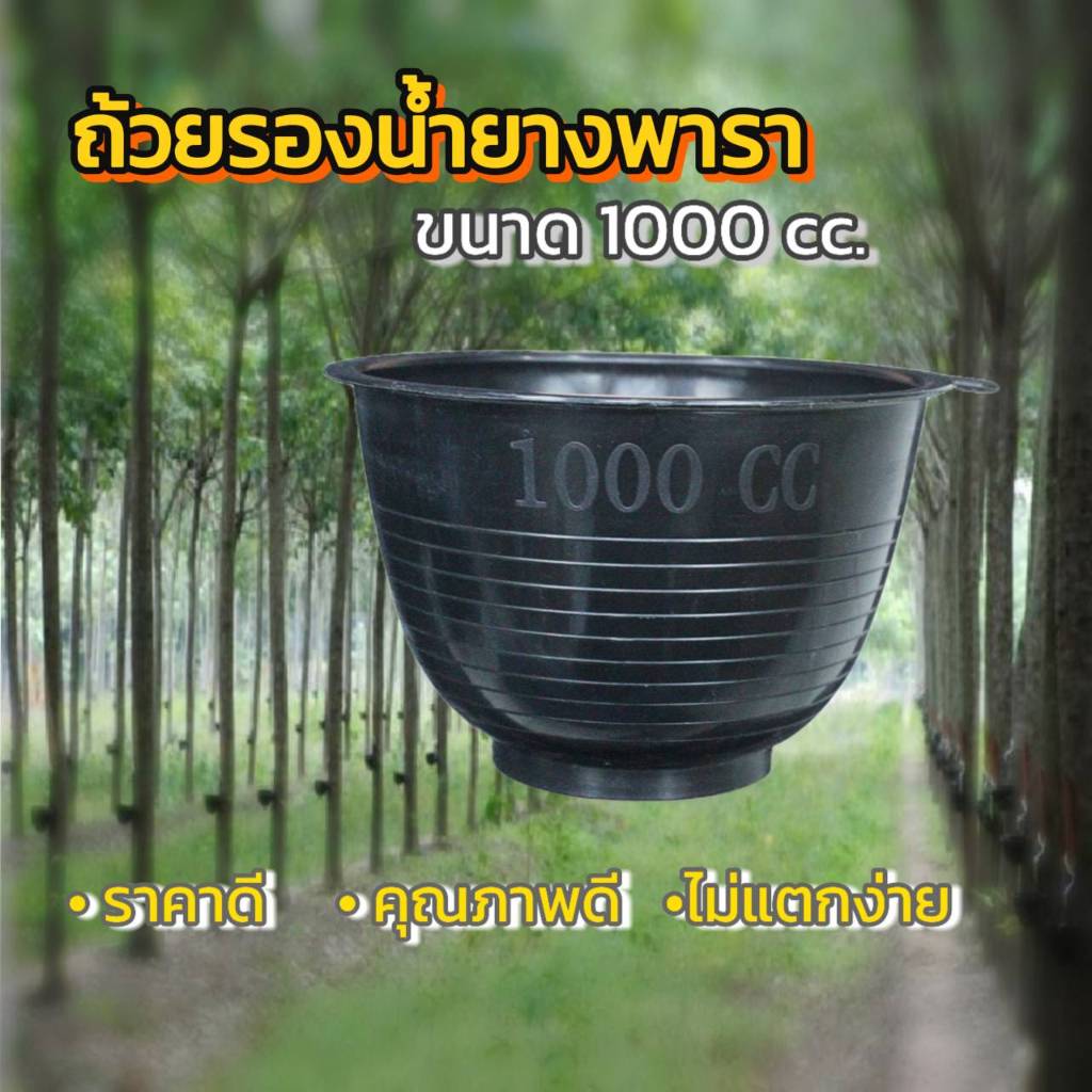 ถ้วยรองน้ำยางพารา 1000cc  (ขาย 100ใบ และ 200 ใบ) จอกยาง  อย่างดีเกรดA ส่งเร็ว ทนทาน