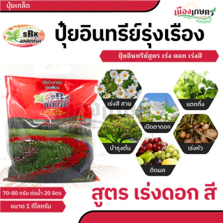 ปุ๋ยอินทรีย์อัดเม็ด ช่องาม สูตรเร่งผล บำรุงใบ เร่งดอก ขนาด 1 กิโลกรัม ออสโมโค้ท ปุ๋ย ปุ๋ยเม็ด เร่งผล ขยายผล เร่งใบ