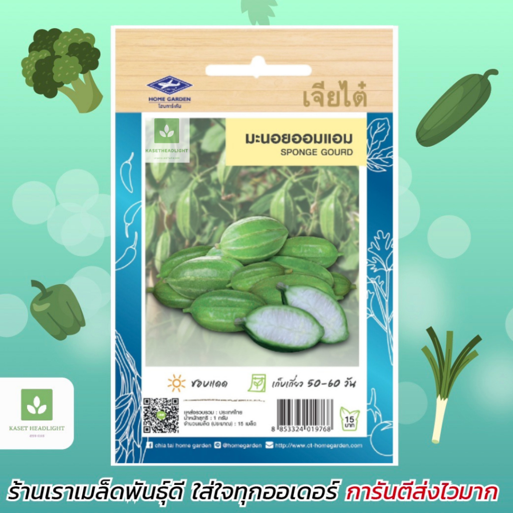 เมล็ดพันธุ์ มะนอยออมแอม ประมาณ15เมล็ด Sponge Gourd มะนอย บวบกลม เมล็ดพันธุ์พืช