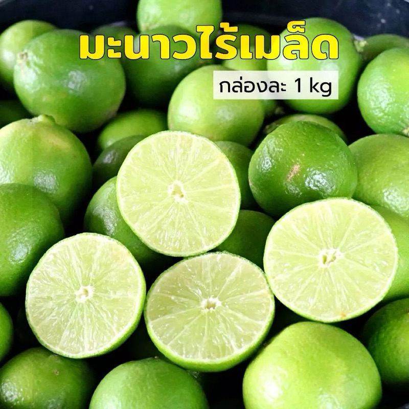 มะนาวไร้เมล็ดพันธุ์ตาฮิติ ปลอดสารพิษ รสชาติอร่อย น้ำเยอะ พร้อมส่ง