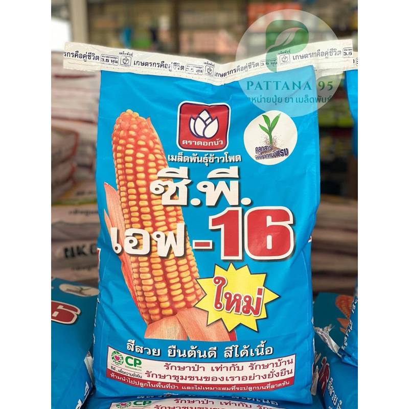 เมล็ดพันธุ์ข้าวโพด ซีพี เอฟ-16 (3.5หุน) *ขนาด 10 กก. สีสวย ยืนต้นดี สีได้เนื้อ ฝักเดี่ยว เมล็ดลึก เหมาะปลูกพื้นที่ราบ