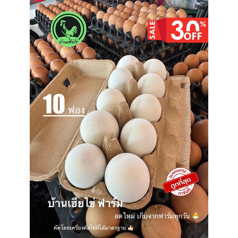 ไข่เค็ม ไข่แดงมันเยิ้ม10ฟอง สูตรสมุนไพร เบอร์0 เค็มน้อย