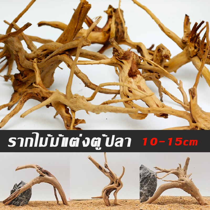 รากไม้ แต่งตู้ปลา ยาว10-15cm ไม้ตู้ปลา กิ่งไม้นำเข้า ตอไม้ตู้ปลา ขอนไม้ ธรรมชาติ ตกแต่งกรงหนู กระต่าย เต่า