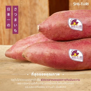 Shi-Tori | มันหวานญี่ปุ่น เบนิฮารุกะ Packsize 1kg. / 2kg. /3kg. กลิ่นหอม รสชาติหวาน เนื้อฉ่ำ