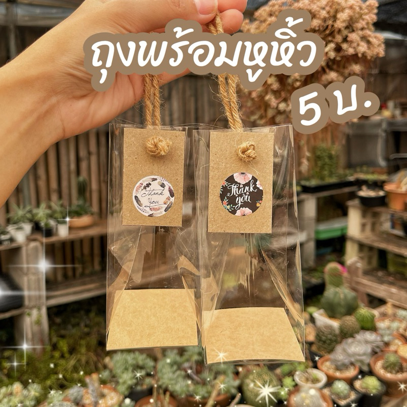 [ถุงใส่ต้นไม้] ถุงพร้อมที่หิ้วสีน้ำตาลหนึ่งเส้น ขนาด 2” และ 3” พร้อมส่ง