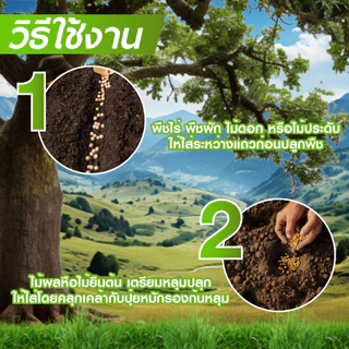 Bionic ไบโอนิค (พด.3) 100กรัม* สารเร่ง 3 สารเร่งทำเชื้อจุลินทรีย์ โรคราก โคนเน่า ไตรโคเดอร์ม่า