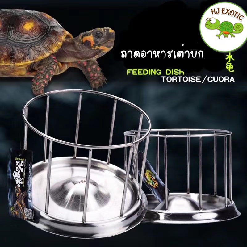 ถาดอาหารเต่าบก แบบมีที่กั้น ป้องกันเต่าเหยียบอาหาร สแตนเลสชั้นดี(พร้อมส่ง)