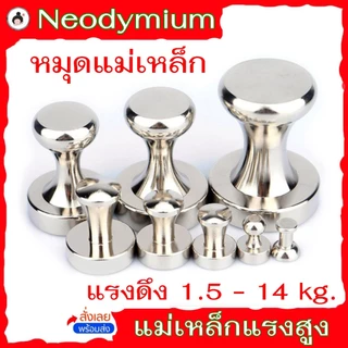 โลหะหมุดแม่เหล็ก (🔥พร้อมส่ง!🔥) Neodymium แรงดึง 1.5 - 14 kg