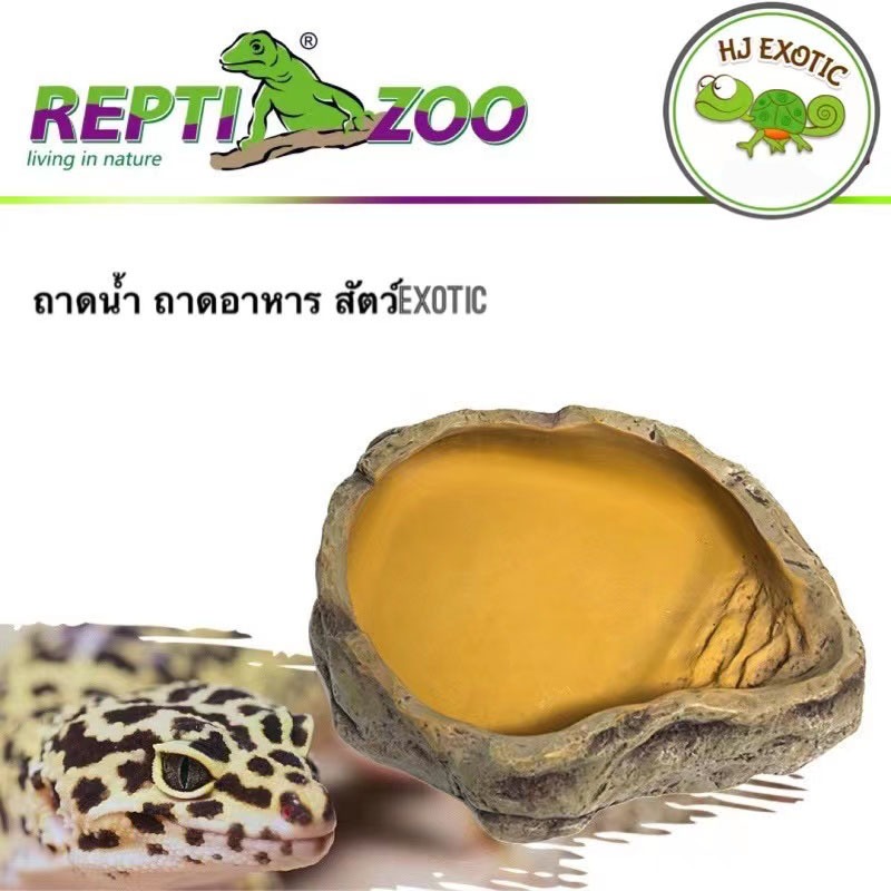 Reptizoo ถาดน้ำ ถาดอาหารสัตว์Exotic