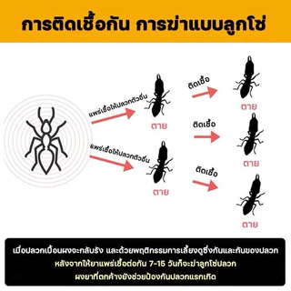 น้ำยากำจัด ปลวก มด แมลงสาบ 1 ลิตร