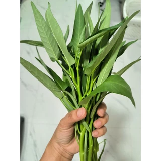 เมล็ดพันธุ์ผักบุ้งจีน 20 กรัม ห่อใหญ่งอกดีมาก(5แถม1คละได้)