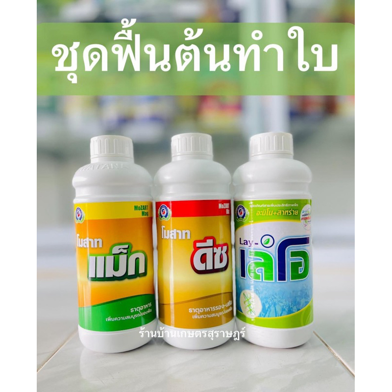 ชุดฟื้นต้นทำใบสูตรน้ำดำ กลุ่มโมสาท แม็ก+ดีซ+เลโอ