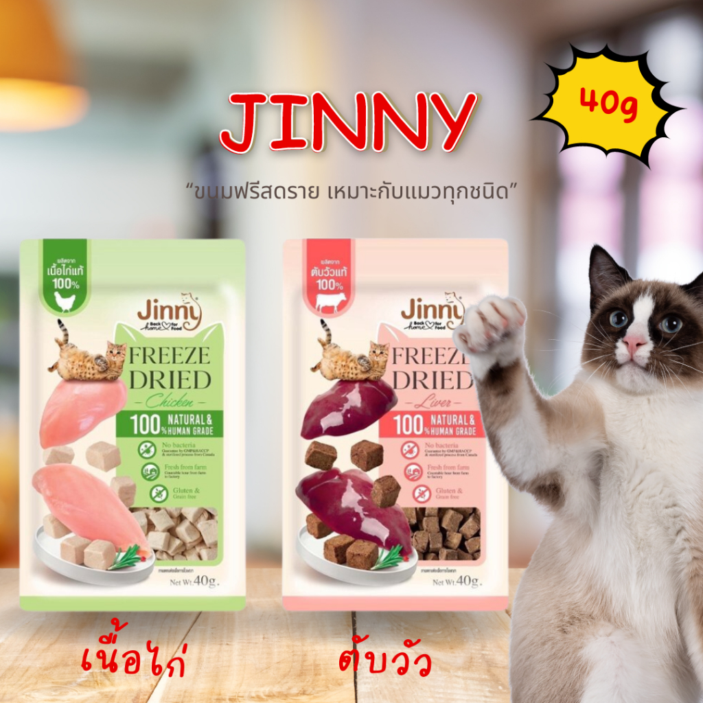 JINNY จินนี่ ขนมแมวฟรีซดราย์ Human grade คุณภาพดี ขนาด 40 กรัม