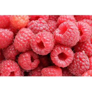 ราสเบอร์รี่แดง 9บาท 10เมล็ด