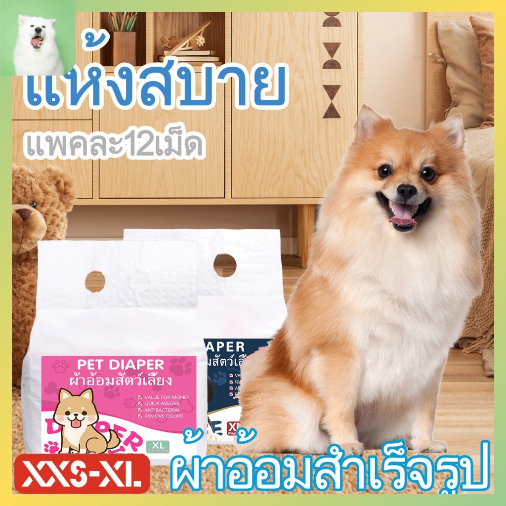ผ้าอ้อมสุนัขตัวผู้เพศเมีย แบบใช้แล้วทิ้ง ผ้าอ้อมสัตว์เลี้ยง สัตว์เลี้ยงดูดซับ 12 ชิ้นต่อถุง XXS-XL