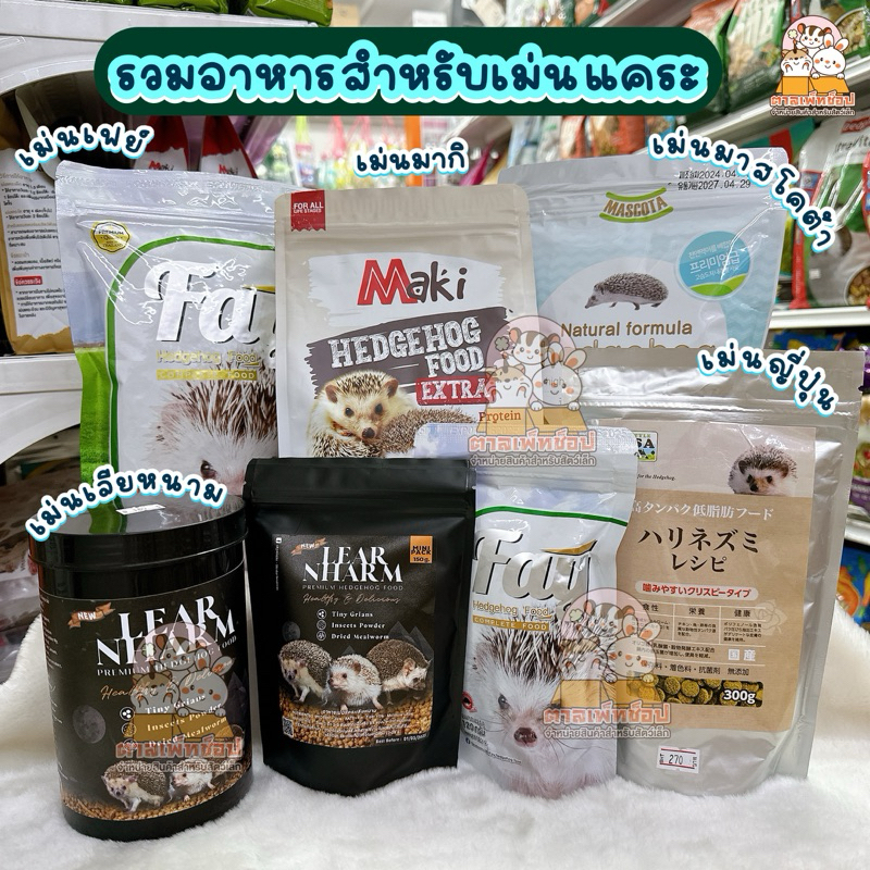 อาหารเม่นแคระ mascota มาสโคต้า , Fay , อาหารเม่นเลียหนาม , อาหารเม่นคาซ่า , อาหารเม่น Mazuri