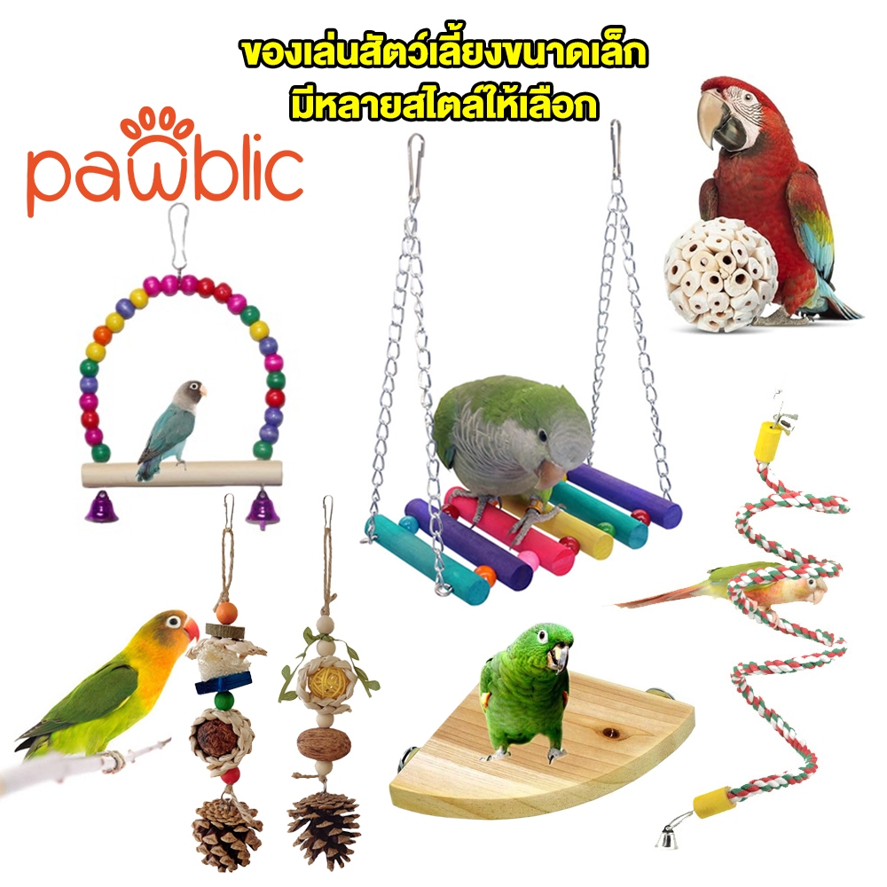 Pawblic 🕊️ของเล่นนก นกแก้ว ของตกแต่งกรง ของเล่นหัดกัดแทะสำหรับนกแก้ว ชุดของเล่นเปลแขวน ขนาดเล็ก ทำจากพืชที่ธรรมชาติ